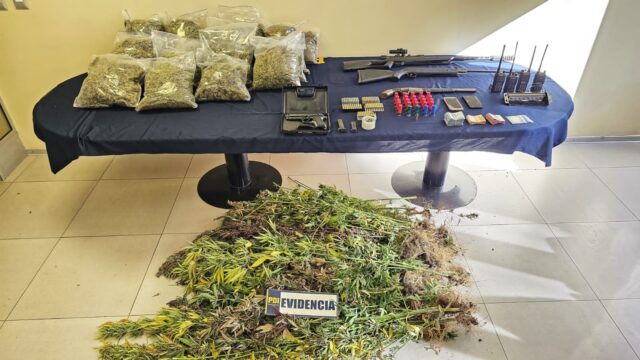 Incautan Armas, Municiones y Marihuana en Allanamiento en Victoria