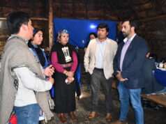 CONADI Lanza Concurso Para Emprendedoras Mapuche de La Araucanía