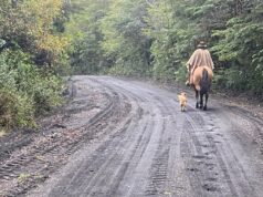 Arreglos al Camino Pino Huacho de Villarrica da Nuevo Acceso al Volcán