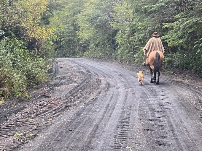 Arreglos al Camino Pino Huacho de Villarrica da Nuevo Acceso al Volcán