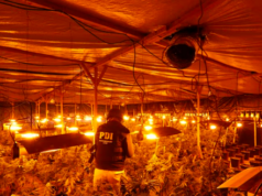 Detienen a Empresario chino de Temuco Acusado de ser Financista de Mafia oriental en Chile