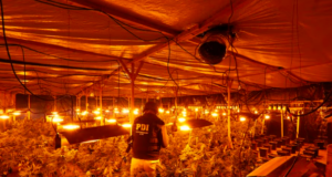 Detienen a Empresario chino de Temuco Acusado de ser Financista de Mafia oriental en Chile