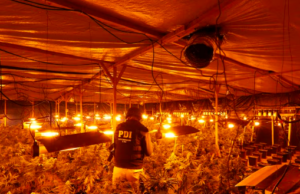 Detienen a Empresario chino de Temuco Acusado de ser Financista de Mafia oriental en Chile