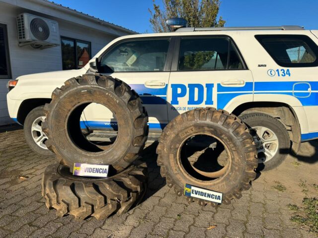 Recuperan Especies Avaluadas en Más de Un Millón de Pesos en Gorbea