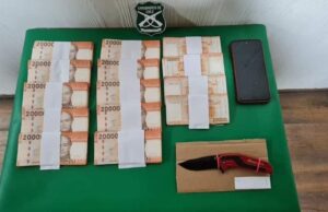 Cuatro Detenidos Por Millonario Robo en Curarrehue
