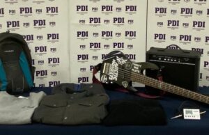 Recuperan Especies Sustraídas: Estaban Siendo Comercializadas por Redes Sociales