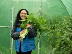 En Loncoche Construyen invernadero con Aportes de Aguas Araucanía