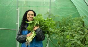 En Loncoche Construyen invernadero con Aportes de Aguas Araucanía