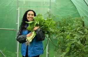 En Loncoche Construyen invernadero con Aportes de Aguas Araucanía