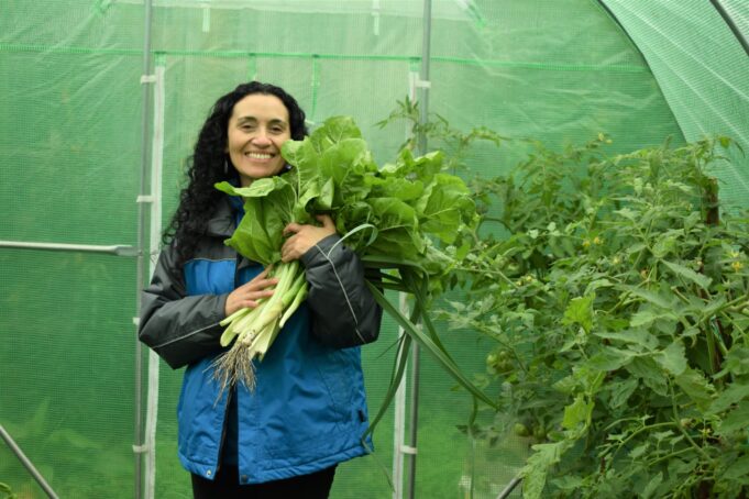 En Loncoche Construyen invernadero con Aportes de Aguas Araucanía