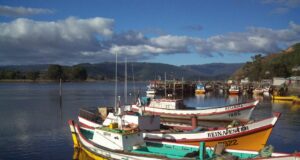 Pescadores Artesanales de Queule se Refieren a la Captura del Chinook en el Mar