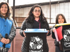 Liceo Bicentenario de Padre Las Casas Compromete Acciones de Reciclaje