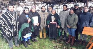 Restituyen Sitio Ceremonial Ancestral que Beneficia 15 Comunidades Mapuche de Saavedra
