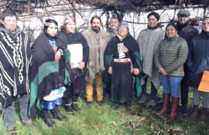 Restituyen Sitio Ceremonial Ancestral que Beneficia 15 Comunidades Mapuche de Saavedra