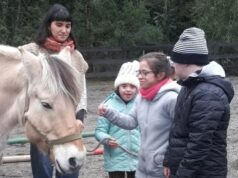 Menores en Situación de Discapacidad de Villarrica Participan en Taller de Equinoterapia