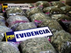 Aumentan Incautaciones de Drogas Sintéticas y Cannabis Sativa en La Araucanía