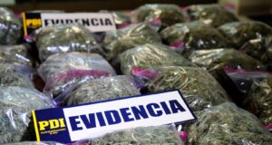 Aumentan Incautaciones de Drogas Sintéticas y Cannabis Sativa en La Araucanía