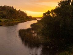 Toltén Cuenta con Plan de Gestión Integral Para Conservación de Humedales del Río Queule