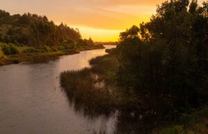 Toltén Cuenta con Plan de Gestión Integral Para Conservación de Humedales del Río Queule