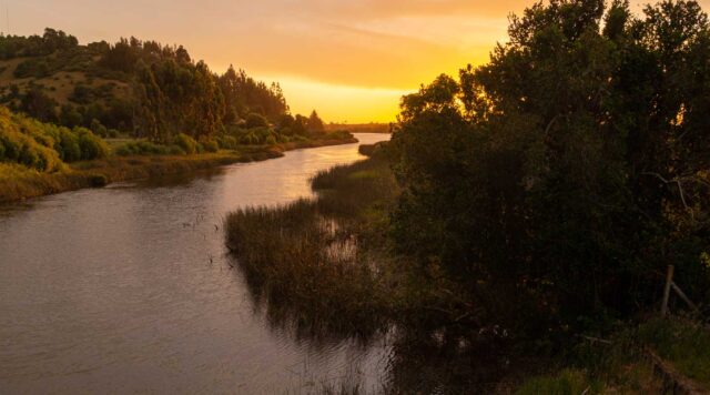 Toltén Cuenta con Plan de Gestión Integral Para Conservación de Humedales del Río Queule