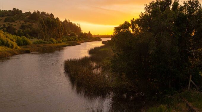 Toltén Cuenta con Plan de Gestión Integral Para Conservación de Humedales del Río Queule
