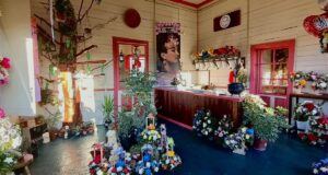 A Una Semana de Apertura; Floristería “San Arte” de Pitrufquén Encanta con su Artístico Estilo