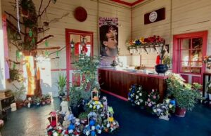 A Una Semana de Apertura; Floristería “San Arte” de Pitrufquén Encanta con su Artístico Estilo