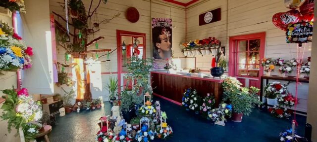 A Una Semana de Apertura; Floristería “San Arte” de Pitrufquén Encanta con su Artístico Estilo