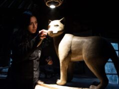 Avanza Creación de Esculturas Cerámicas Enfocadas en la Protección Del Bosque Nativo en Villarrica