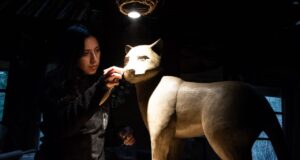 Avanza Creación de Esculturas Cerámicas Enfocadas en la Protección Del Bosque Nativo en Villarrica