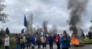 Vecinos de Pitrufquén se Toman Cruce Los Galpones: Piden Avances en Proyecto de Pavimentación