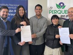 Jóvenes de La Araucanía Serán Beneficiados con programa de INJUV