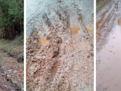 Vecinos de Cunco Acusan Nula Mantención de Caminos Rurales