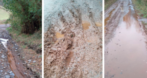 Vecinos de Cunco Acusan Nula Mantención de Caminos Rurales