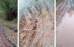 Vecinos de Cunco Acusan Nula Mantención de Caminos Rurales