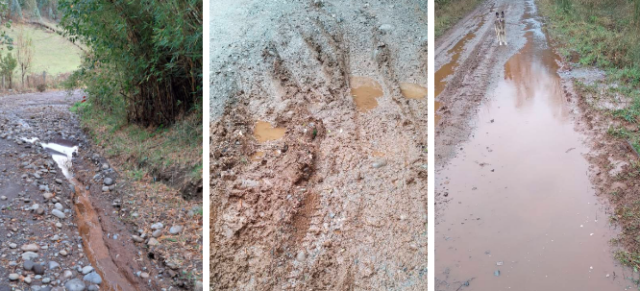 Vecinos de Cunco Acusan Nula Mantención de Caminos Rurales