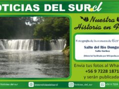 Salto del Río Donguil, Gorbea