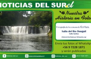 Salto del Río Donguil, Gorbea