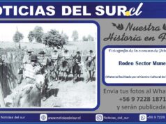Tradicional Rodeo en el Sector de Mune, Comuna de Pitrufquén