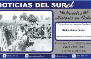 Tradicional Rodeo en el Sector de Mune, Comuna de Pitrufquén