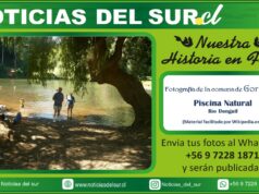 Gorbea, Piscina Natural Río Donguil