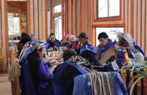 Freire: Comunidad De Allipén Realizó Octava Versión Del Trafkintu