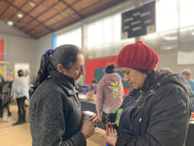 Mesa Comunal De Mujeres Rurales De Pitrufquén Celebra Enriquecedor Trafkintu