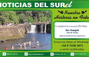 Río Donguil, Gorbea