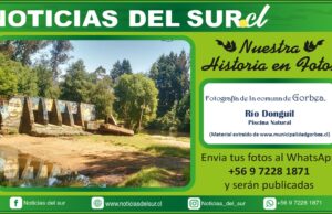 Río Donguil, Piscina Natural Gorbea