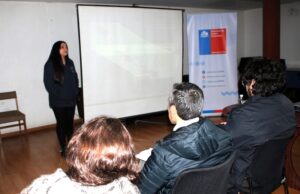 Bienes Nacionales de La Araucanía Impartió Capacitación a Contrapartes Municipales de Malleco y Cautín