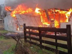 Vuelco En Caso De Mujer Muerta En Incendio En Villarrica: Pareja Es Detenida Como Presunto Femicida