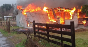 Vuelco En Caso De Mujer Muerta En Incendio En Villarrica: Pareja Es Detenida Como Presunto Femicida