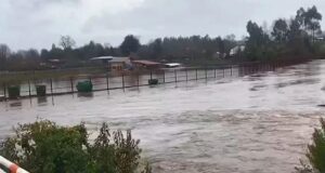 Se Declara Emergencia Comunal para Cholchol, Lonquimay, Curarrehue y Temuco por Evento Meteorológico