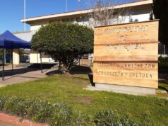 Investigan Supuesta Malversación de Fondos al Interior de la Municipalidad de Pitrufquén; Denuncia la Realizó la Directora de Salud